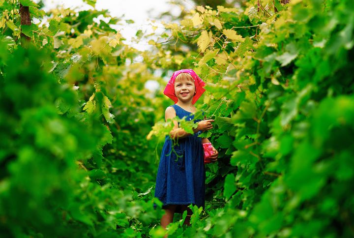 Девочка в винограднике