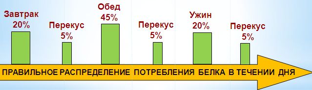 В каких продуктах содержится молочный белок В каких продуктах содержится молочный белок