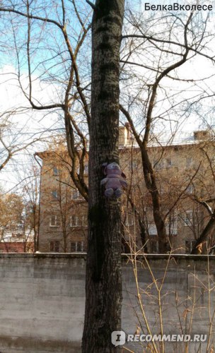 Sad Лекарственный препарат ЗАО «Лекко» Диаскинтест фото