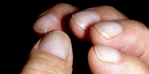 Барабанные палочки Барабанные палочки