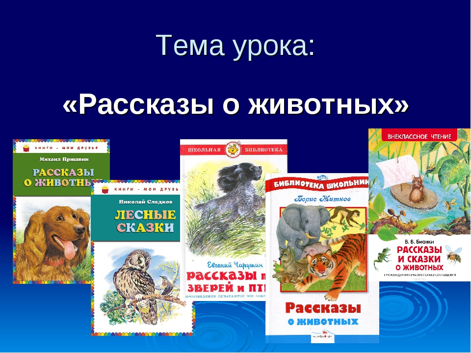 Какие рассказы в первом классе. Произведения о животных. Произведения о животных 3 класс. Книги о животных 3 класс. Книги о животных для детей 2 класса.