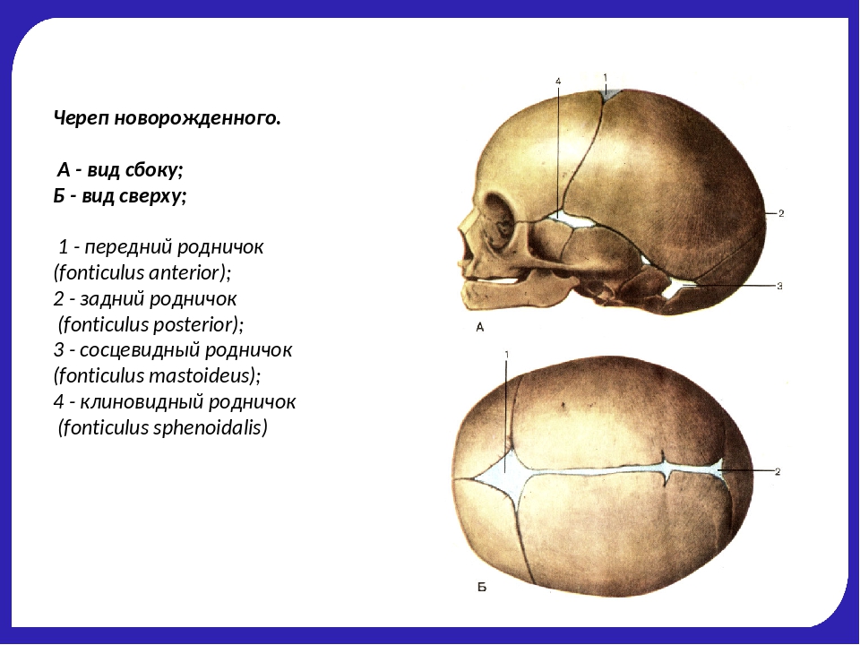 Рисунок пальцевых вдавлений усилен