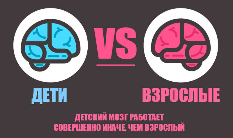ЧЕМ ОТЛИЧАЕТСЯ МОЗГ РЕБЕНКА ОТ ВЗРОСЛОГО ЧЕМ ОТЛИЧАЕТСЯ МОЗГ РЕБЕНКА ОТ ВЗРОСЛОГО
