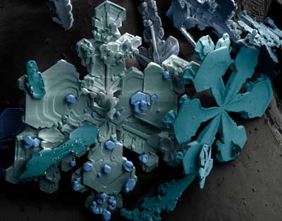 Scanning electron microscope image of snow crystals