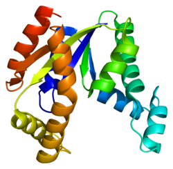 Protein CMPK PDB 1tev.png