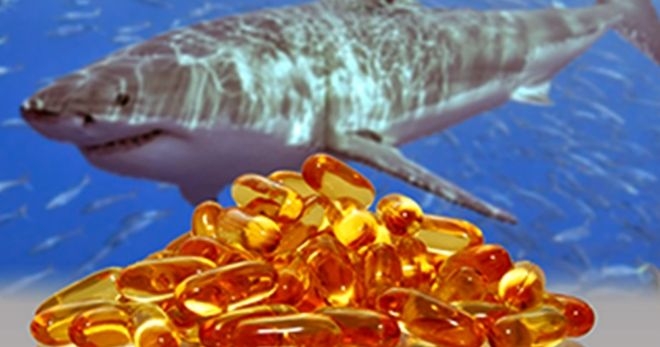 Акулий жир – чем полезен сквален, и как его правильно применять?