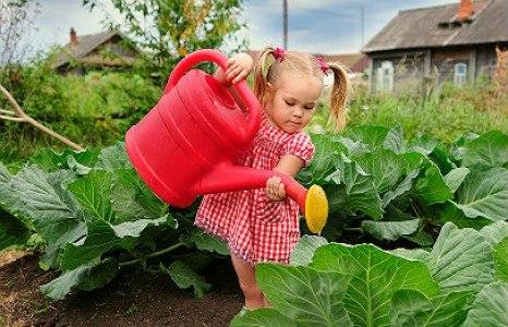 Тематические прогулки с детьми 2-5 лет - работа и инструменты