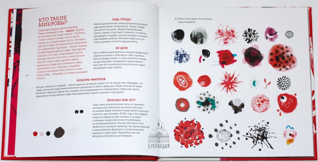 книги_про_микробов_4.jpg книги_про_микробов_4.jpg