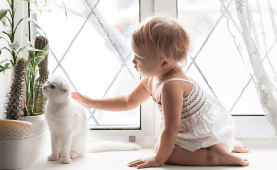фотосессия годовалого ребенка дома с котом