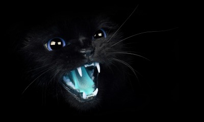 кот черный оскал кот черный оскал